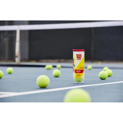 Pelotas Tenis Wilson Championship Extra Duty X3 Amarillo
