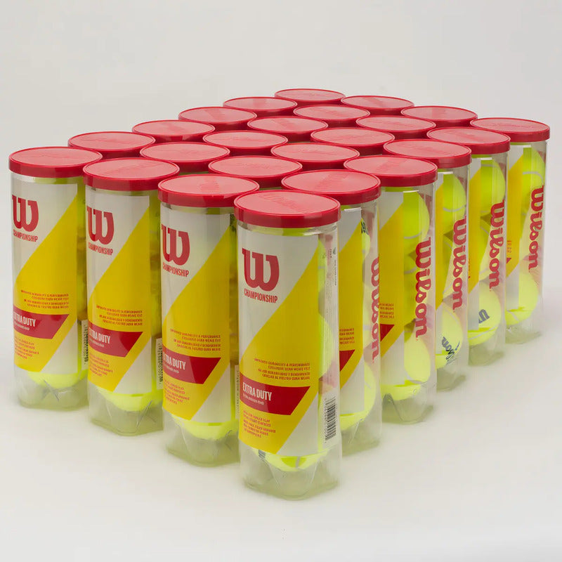 Caja de pelotas de tenis x24 Wilson Championship Extra Duty