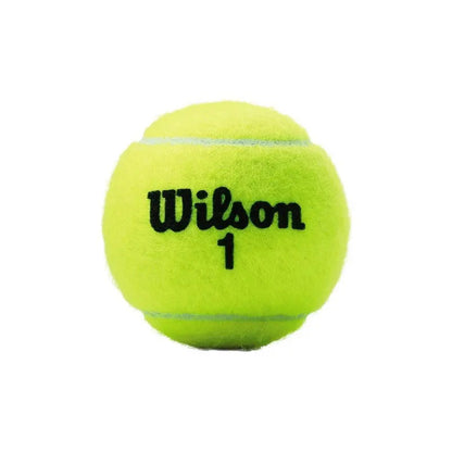 Pelotas Tenis Wilson Championship Extra Duty X3 Amarillo