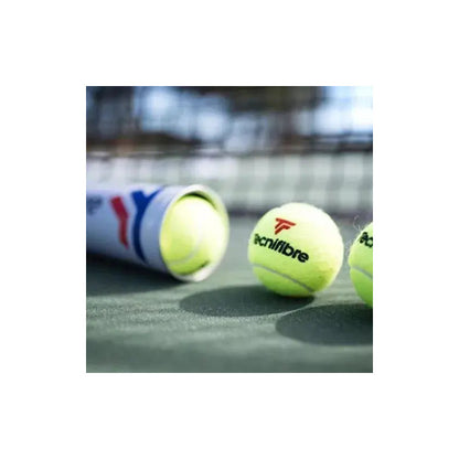 Caja De Pelotas 24 Tarros Tecnifibre X-one